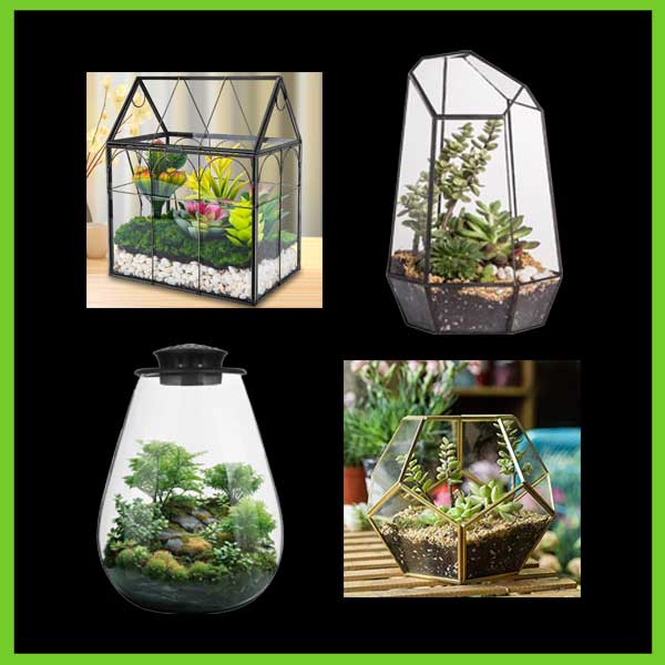 DIY Terrarium Kits - Valentines Gift Basket Item - Life So Abundant®